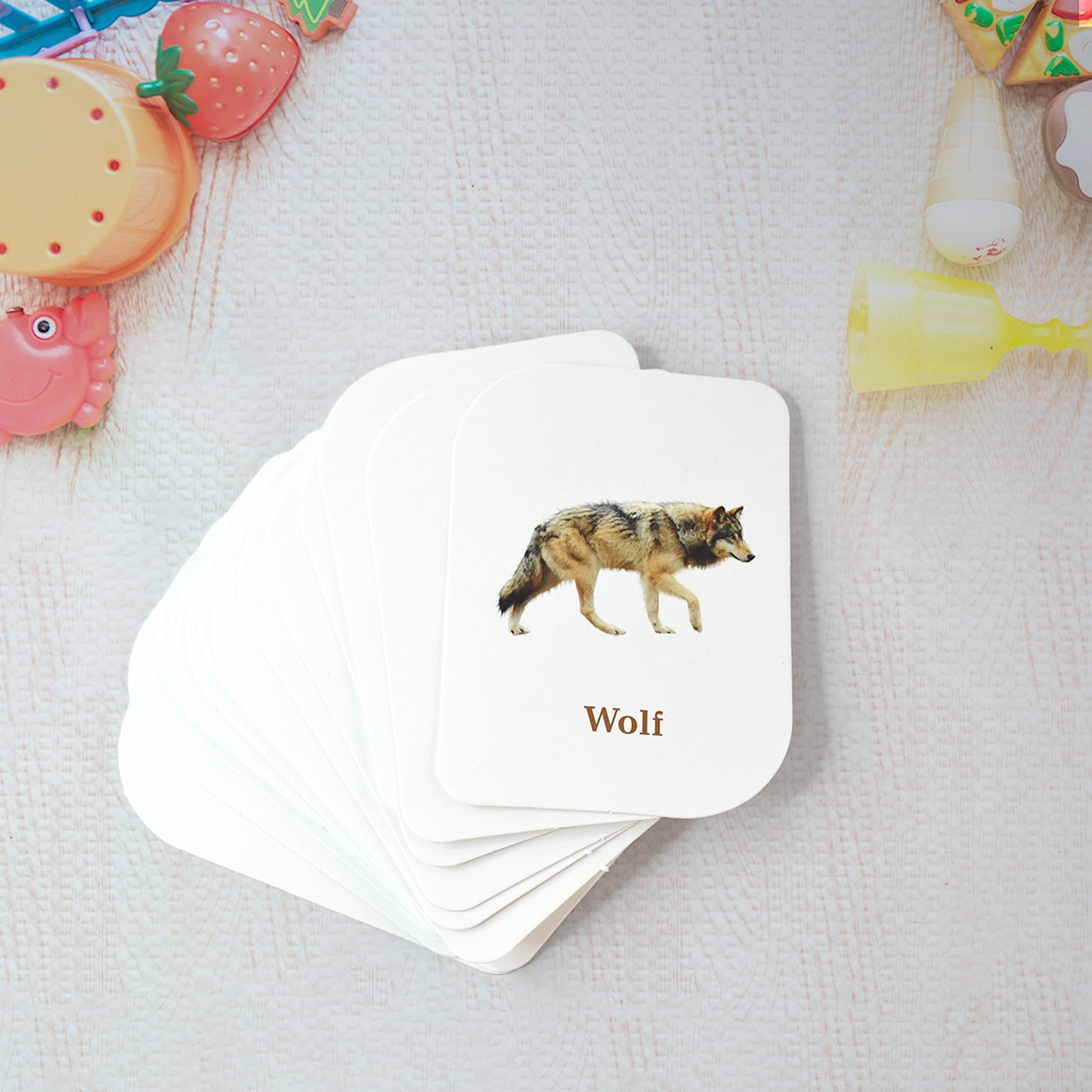 Animal Flash Cards 32-piece