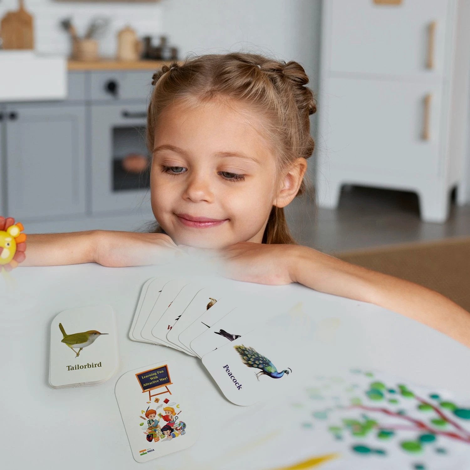 7-in-1 Kidkraft Early Learner Flashcard Combo Set ( 224 Pc  Card) - 69kart