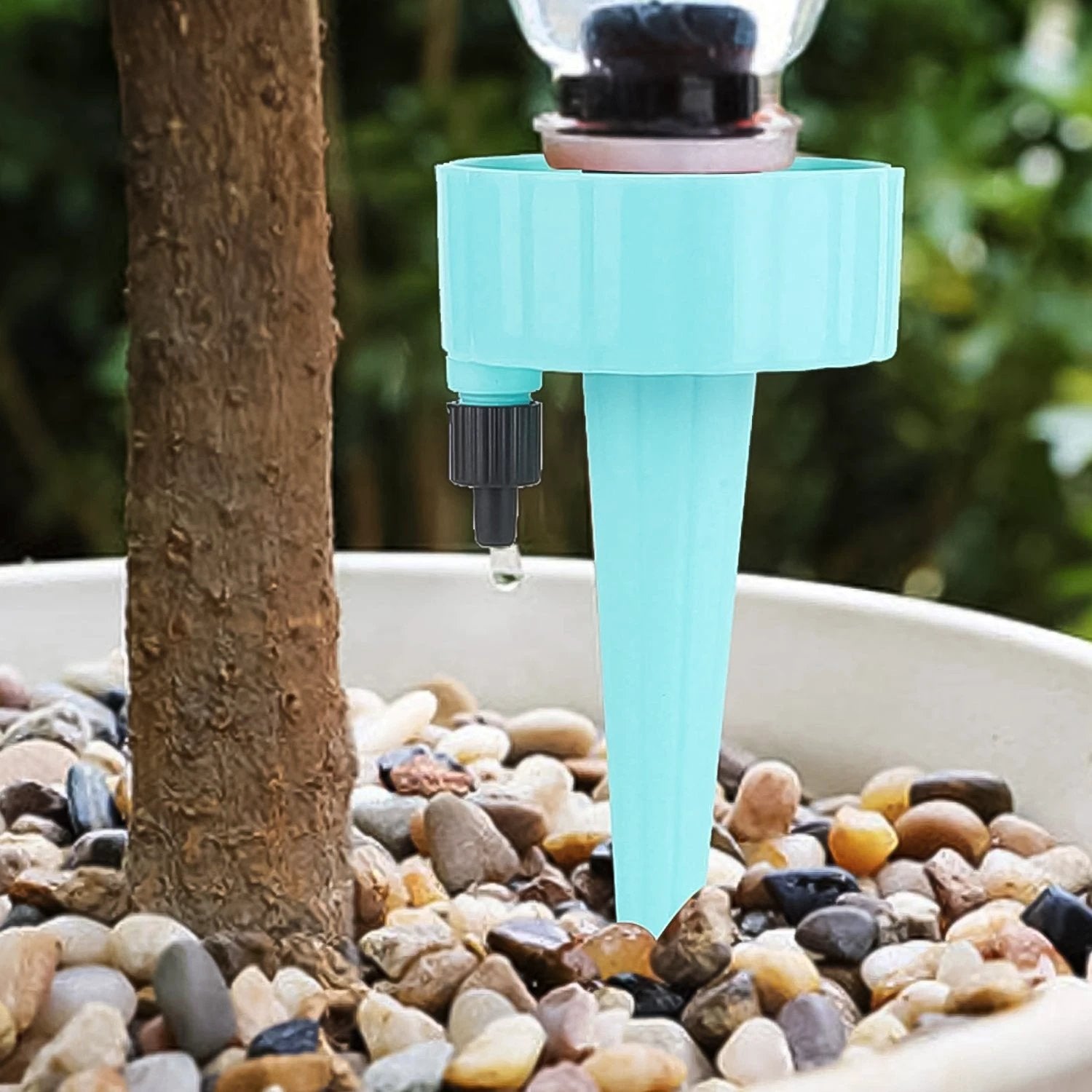 Auto Plant Watering Devices (1 Pc  Mix Color) - 69KART