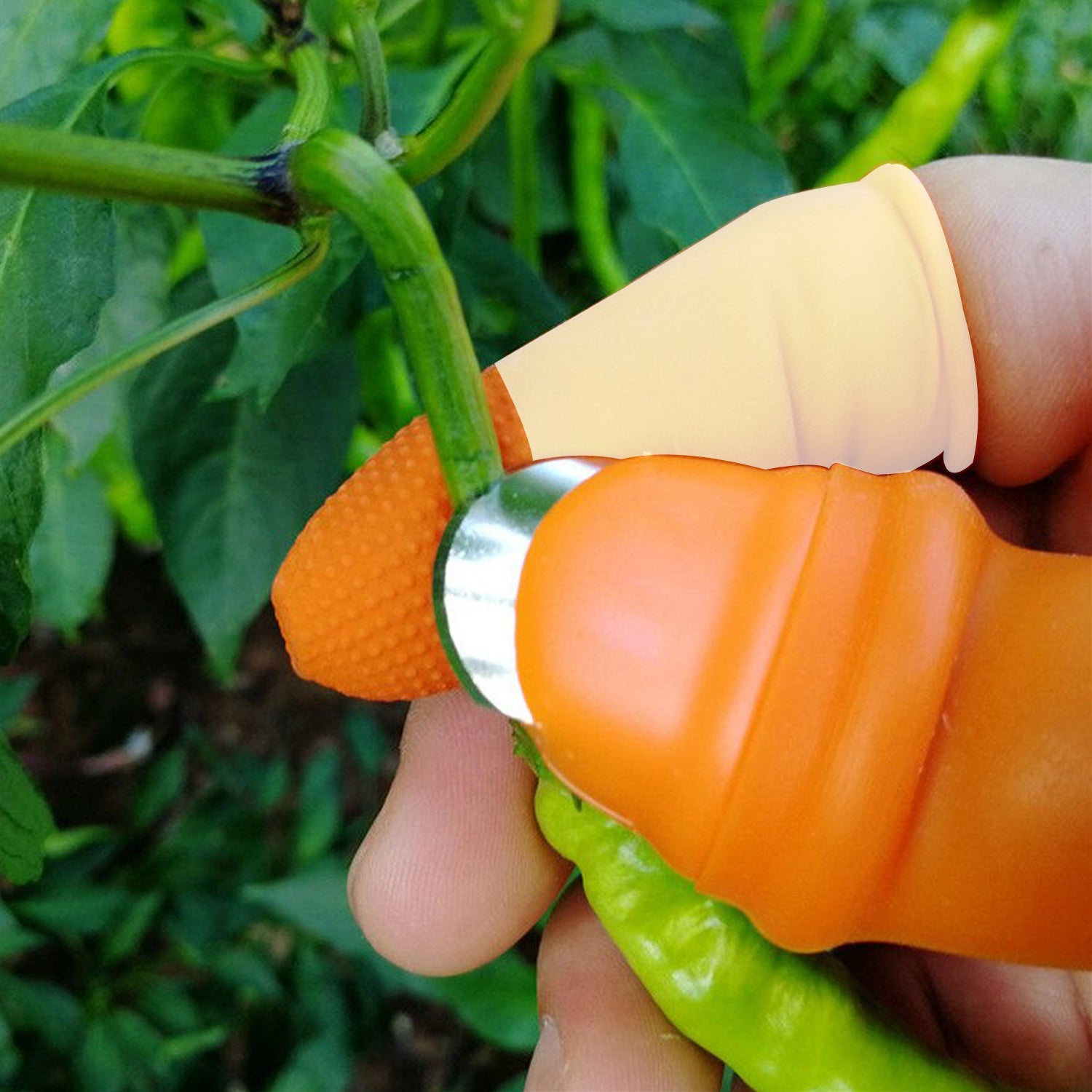 1 Pair V Thumb Cutter With Box Used In All Kinds Of Household And Official Kitchen Purposes For Peeling And Cutting Of Various Types Of Vegetables And Fruits Etc.