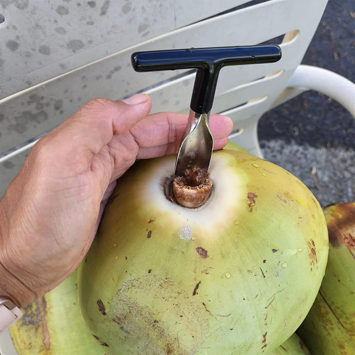 Stainless Steel Coconut Breaker Tool With Comfortable T-handle (1 Pc) by Wukusy