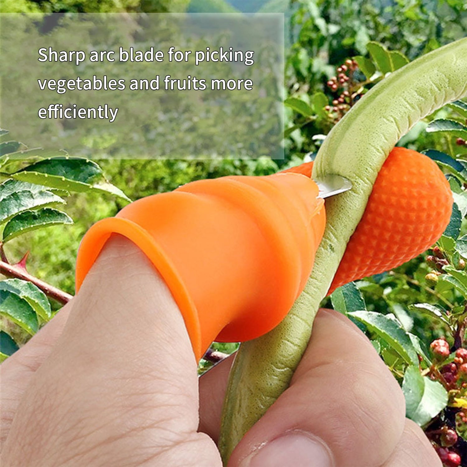 1 Pair V Thumb Cutter With Box Used In All Kinds Of Household And Official Kitchen Purposes For Peeling And Cutting Of Various Types Of Vegetables And Fruits Etc.
