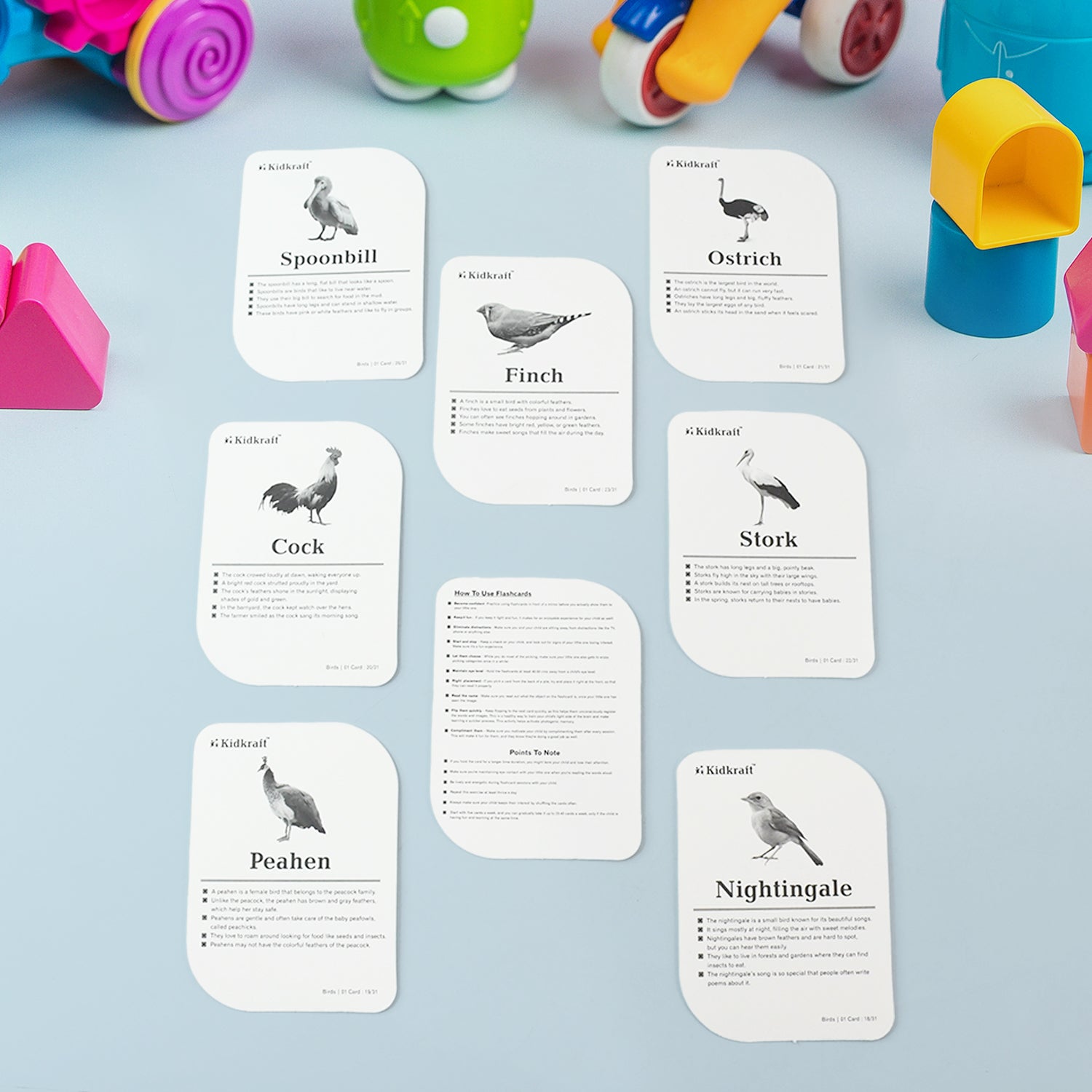 Birds Flashcards 32-piece