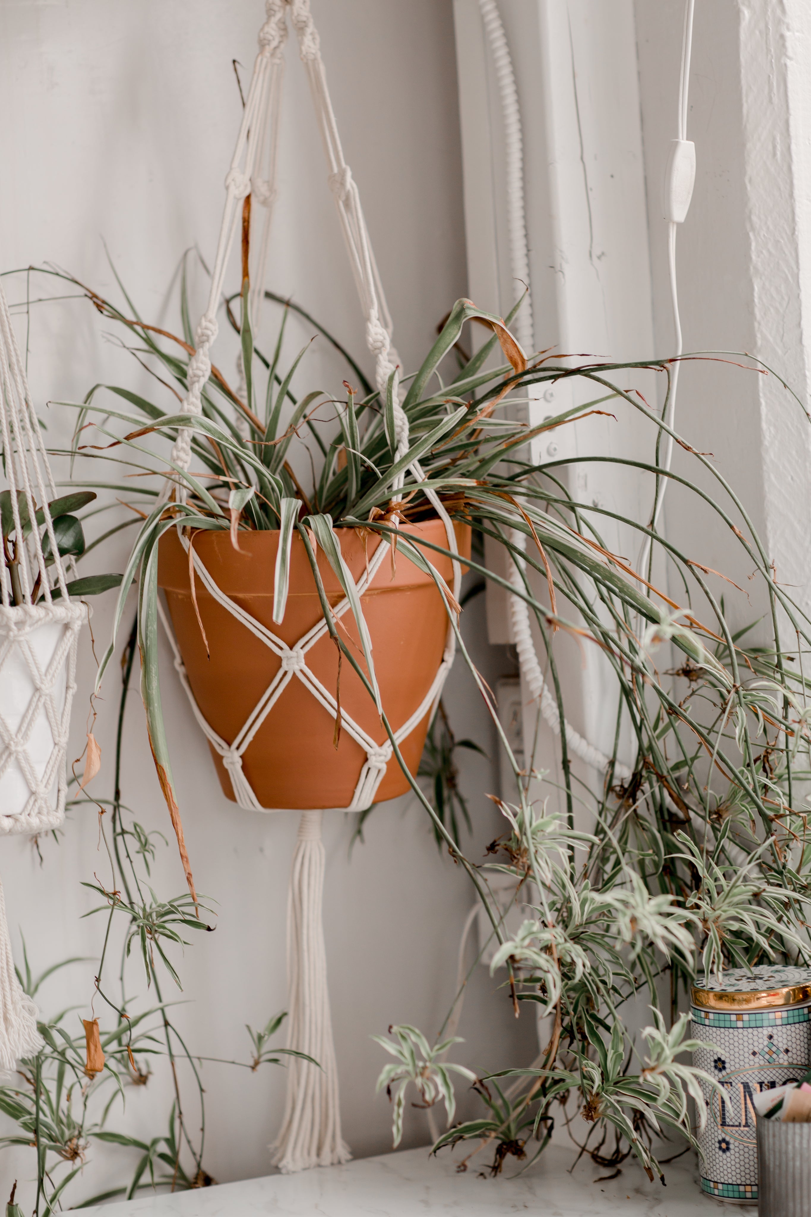 Home Decor Starting @69/-