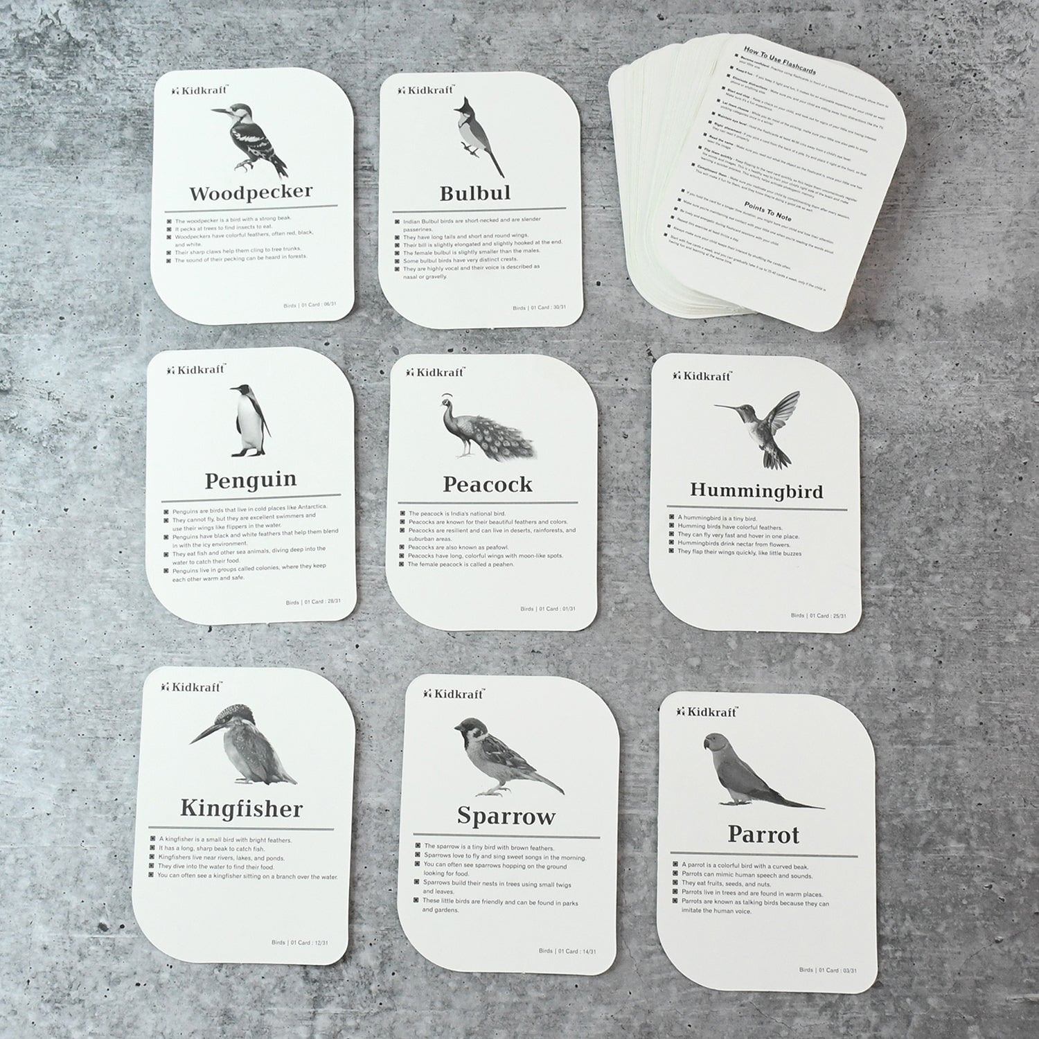Birds Flashcards 32-piece