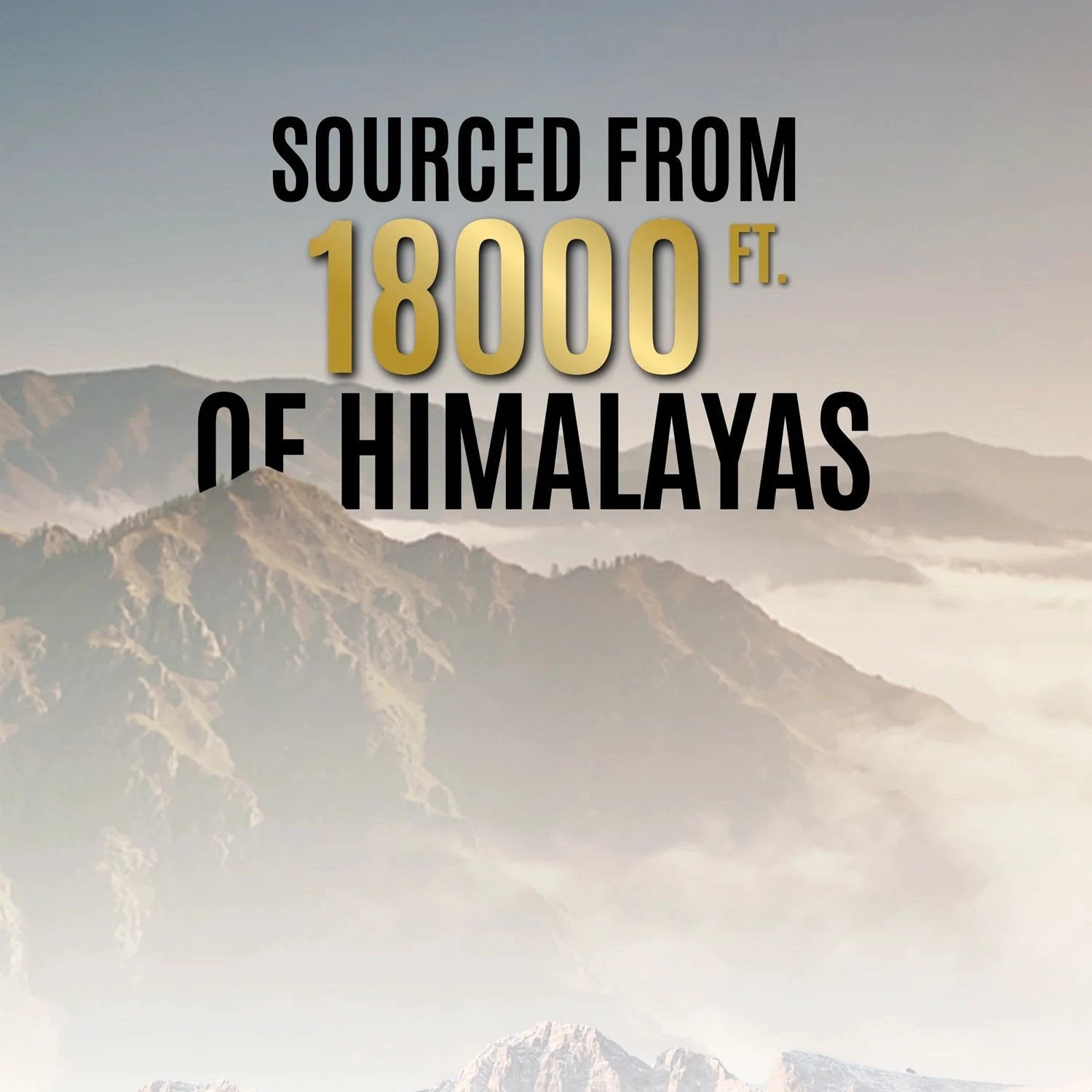 Og Wellness Pure Himalayan Shilajit Resin (20 Gm  1 Pc) - 69KART