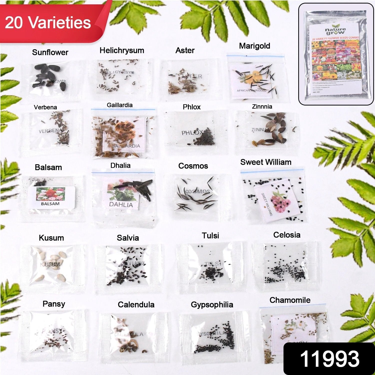 Seeds 20 Varieties Of Flower Seeds Combo (1 Pkt 20 Varieties) by Wukusy
