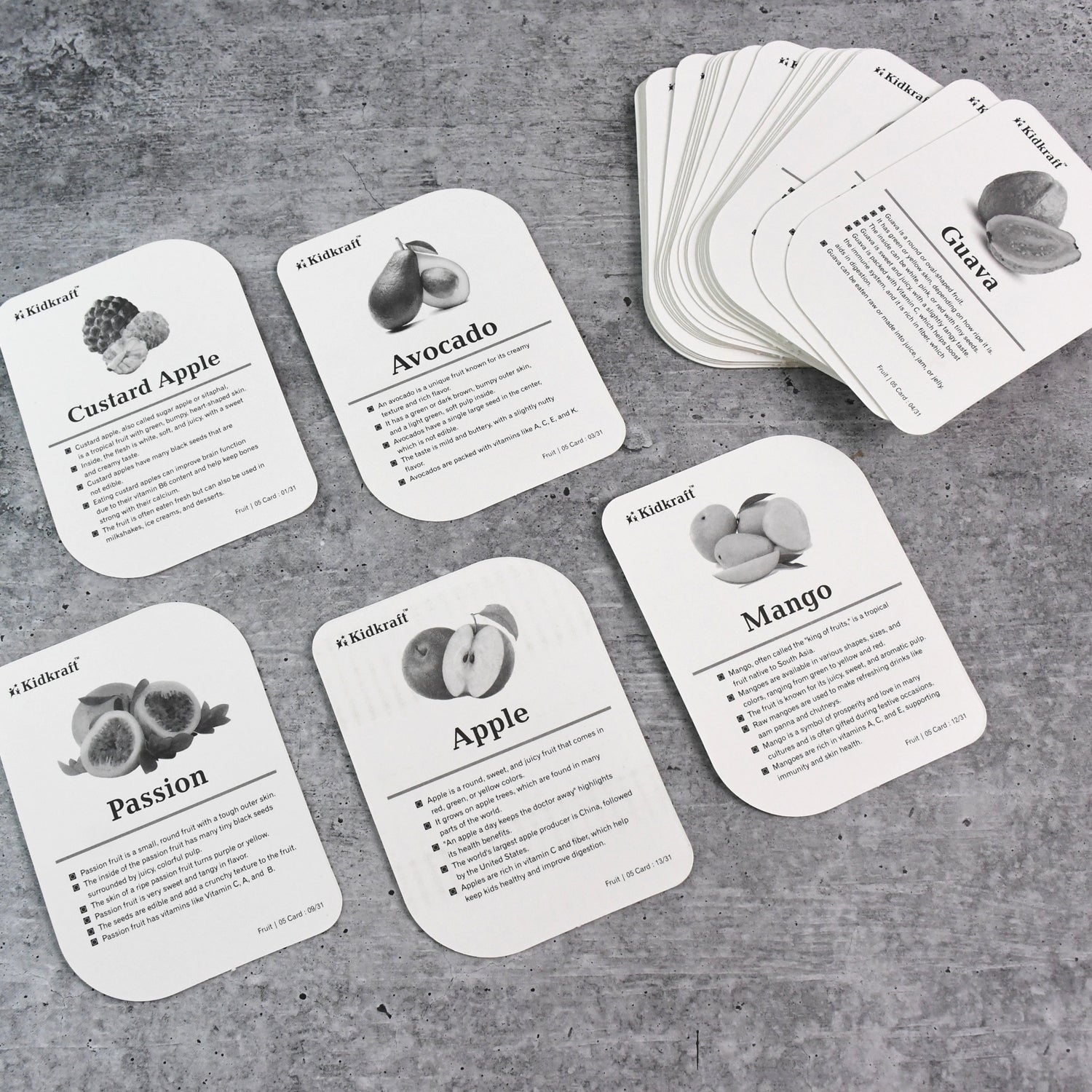 Birds Educational Flashcards  32-piece